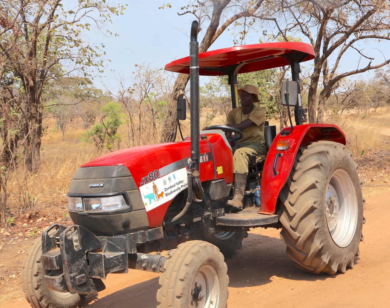 Blurred image for use as development placeholder.